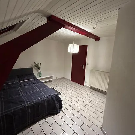 Appartement Grand Logement Entier A 1 Mn De La Grand'place Tournai